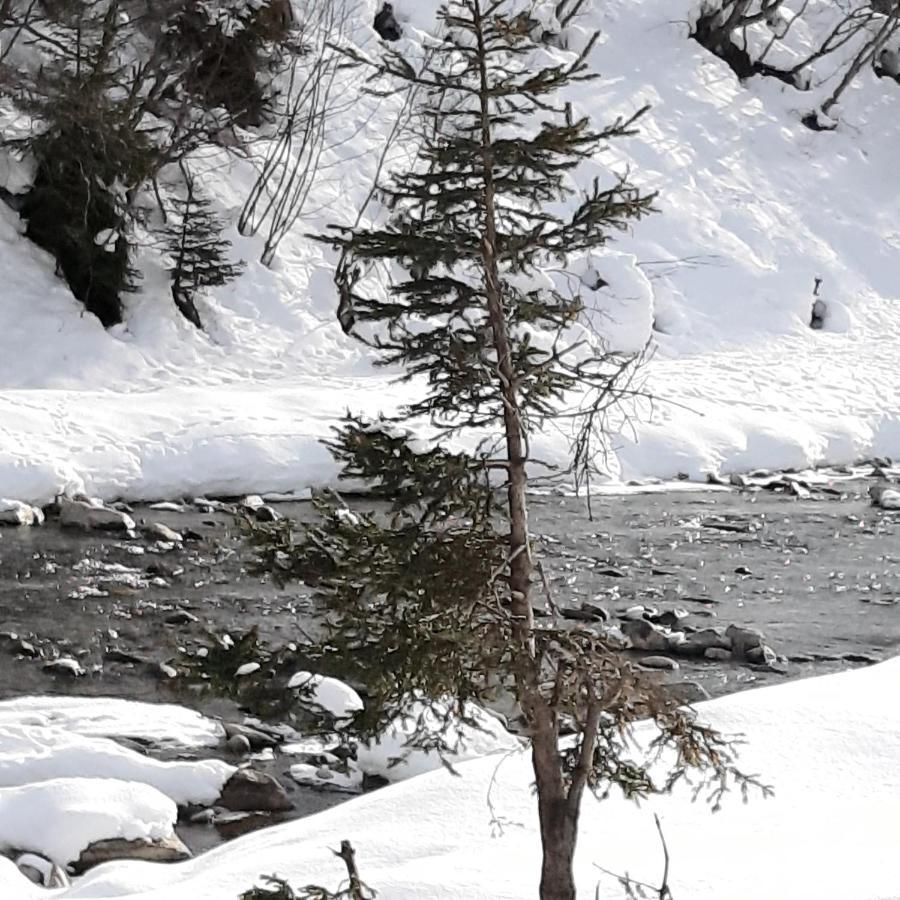 Haus Waldfriede Apartment Sankt Leonhard im Pitztal Luaran gambar